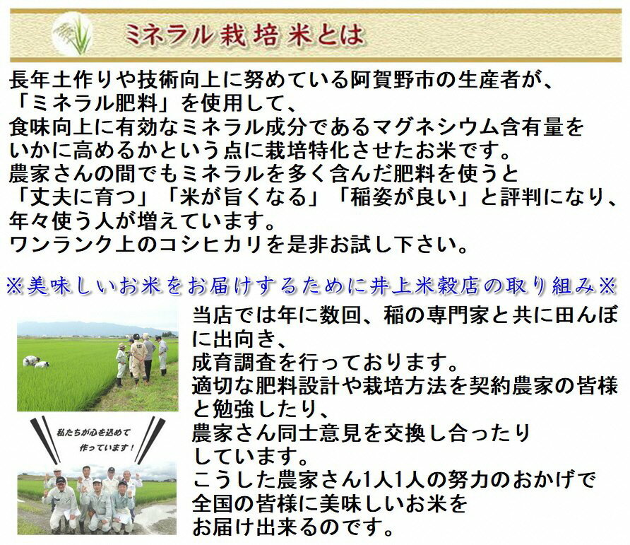 【ふるさと納税】≪3ヶ月定期便 ≫ミネラル栽培こしひかり 5kg×3回 (計15kg )白米 精米 井上米穀店