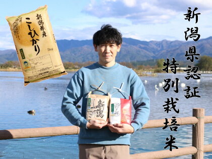 従来コシヒカリ 5kg 特別栽培米 新潟県認証米 阿賀野市産 丸山農園