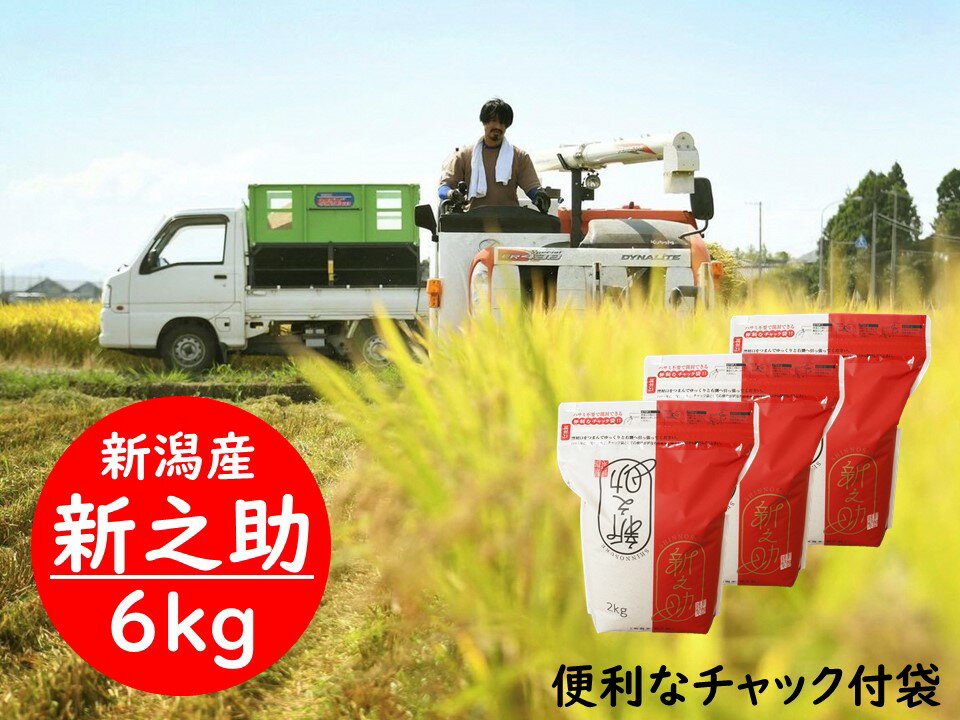 新潟県阿賀野市産 新之助 6kg (2kg×3袋) 便利 チャック 付き スタンド パック 精米 白米 生産者が食べたいと思えるお米