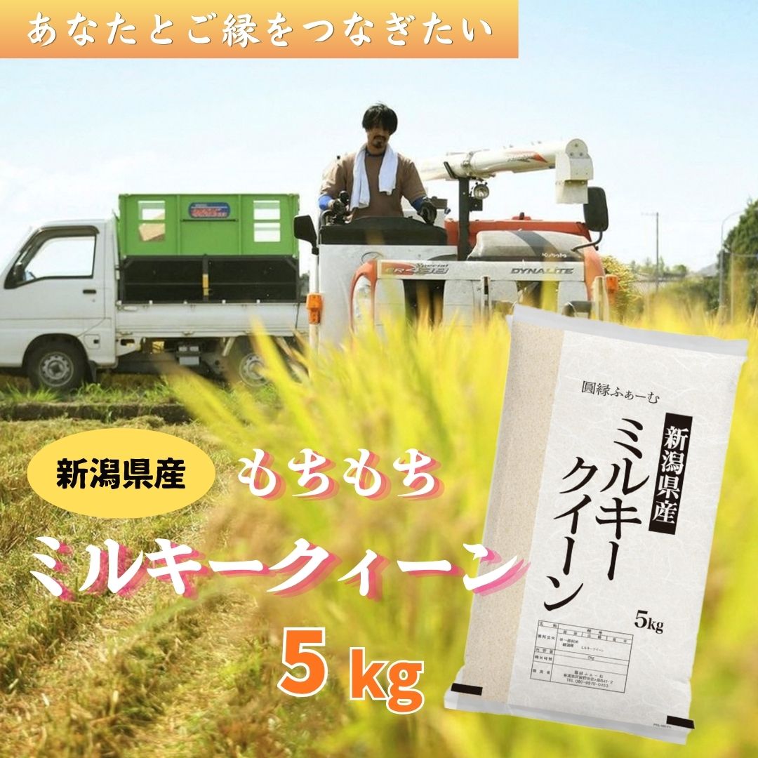新潟県阿賀野市産 ミルキークィーン 5kg 精米 白米 生産者が食べたいと思えるお米