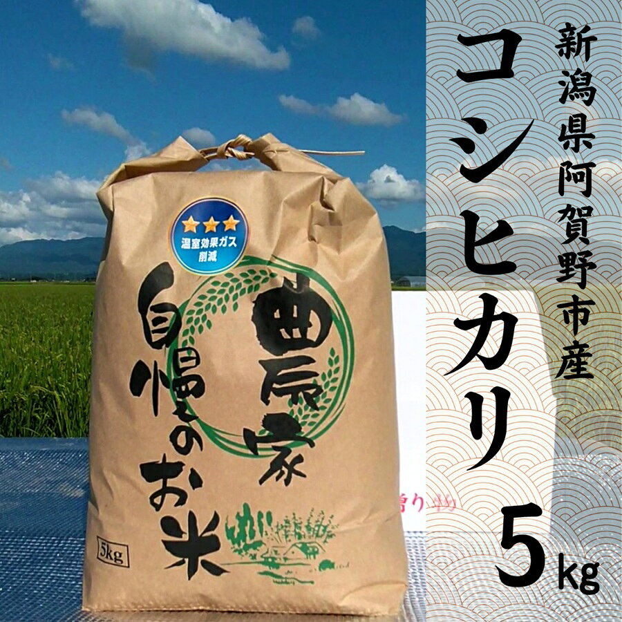 【ふるさと納税】【令和8年産新米予約】阿賀野市産 コシヒカリ 5kg 精米 白米 新潟県 阿賀野市 米 こめ コメ 10月上旬より発送開始予定