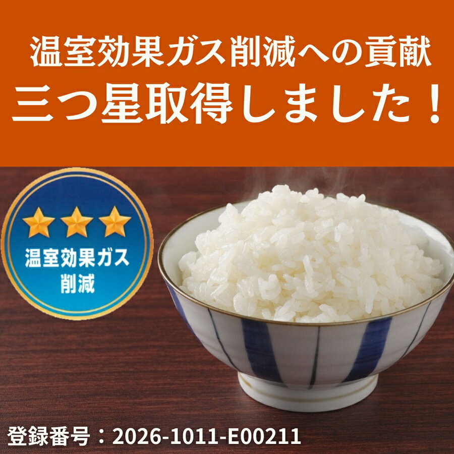 【ふるさと納税】【令和8年産新米予約】阿賀野市産 コシヒカリ 5kg 精米 白米 新潟県 阿賀野市 米 こめ コメ 10月上旬より発送開始予定 f152234-agano-10001377 新潟県阿賀野市 サンプル画像2