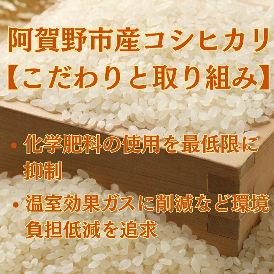 【ふるさと納税】【令和8年産新米予約】阿賀野市産 コシヒカリ 5kg 精米 白米 新潟県 阿賀野市 米 こめ コメ 10月上旬より発送開始予定 f152234-agano-10001377 新潟県阿賀野市 サンプル画像3