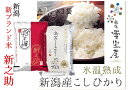【ふるさと納税】【令和7年産新米予約】阿賀野市産「新之助&雪室米」ぜいたく食べ比べ 各6kg 11月上旬より順次発送予定