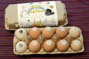 【ふるさと納税】【あずさと四種の地鶏詰め合わせ】あじわいたまごセット ひよころ鶏園 卵 たまご 地鶏 赤鶏あずさ にいがた地鶏 軍鶏 名古屋コーチン 岡崎おうはん 国産 食べ比べ 平飼い 新鮮 レモンイエロー 新潟県 阿賀野市