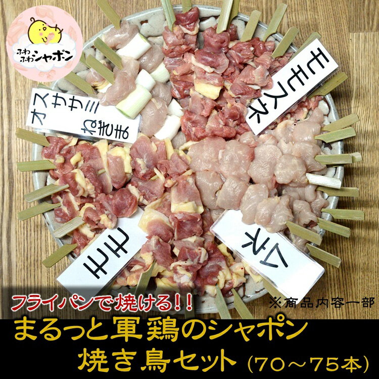 【ふるさと納税】軍鶏シャポン（去勢鶏）の1羽分焼き鳥セット【約70本】