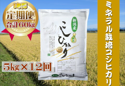 10位! 口コミ数「0件」評価「0」≪12回定期便≫ミネラル栽培コシヒカリ 5kg