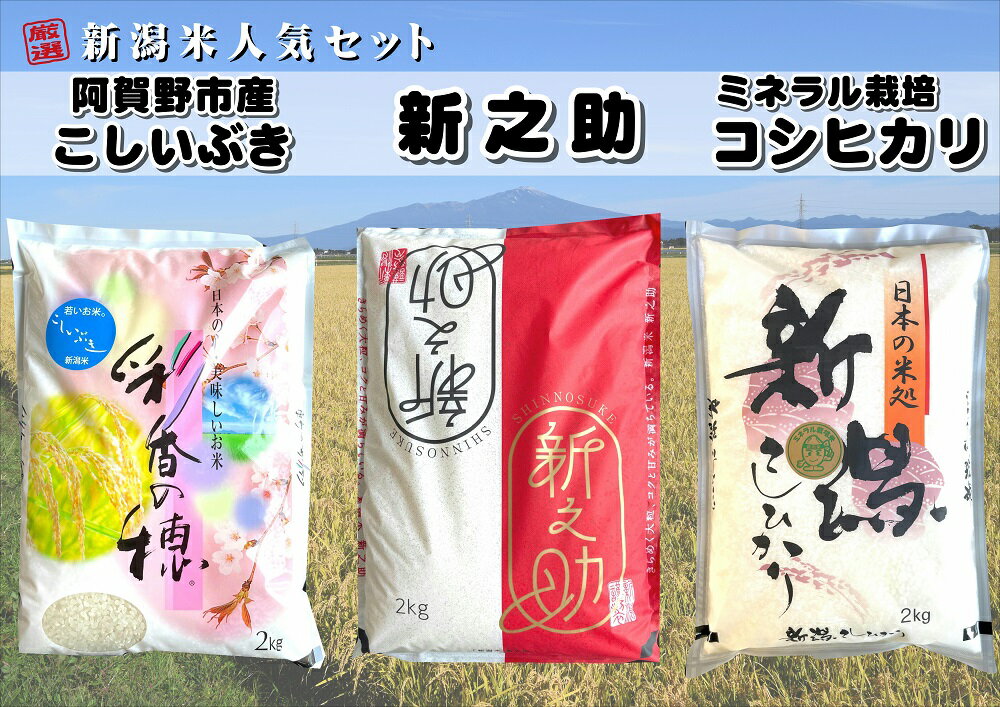 新潟 人気米 セット 2kg×3袋 計6kg コシヒカリ 新之助 こしいぶき 食べ比べ 味比べ お試し