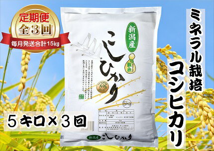 【ふるさと納税】≪3ヶ月定期便 ≫ミネラル栽培こしひかり 5kg×3回 (計15kg )白米 精米 井上米穀店