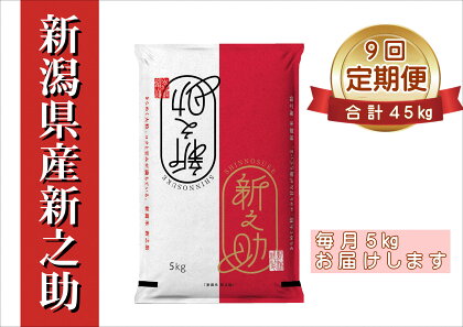 ≪9回定期便≫ 新潟県産 新之助 5kg×9回 計45kg 白米 精米 井上米穀店