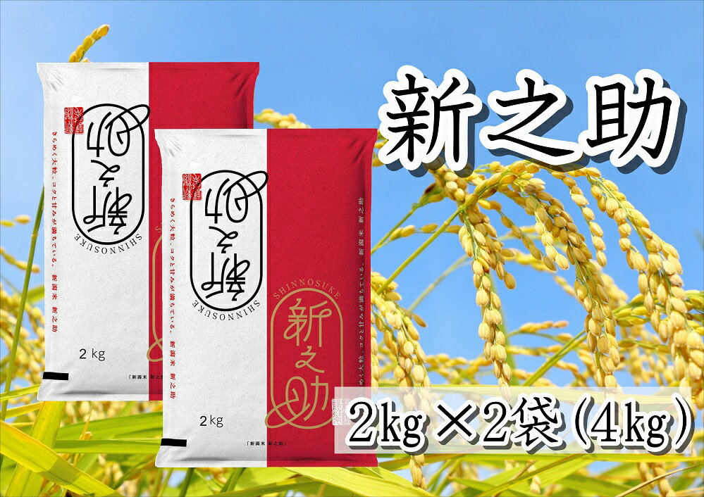 【ふるさと納税】 新潟県産 新之助 4kg (2kg×2袋) 大粒 粘り 張り 旨味 冷めても ...