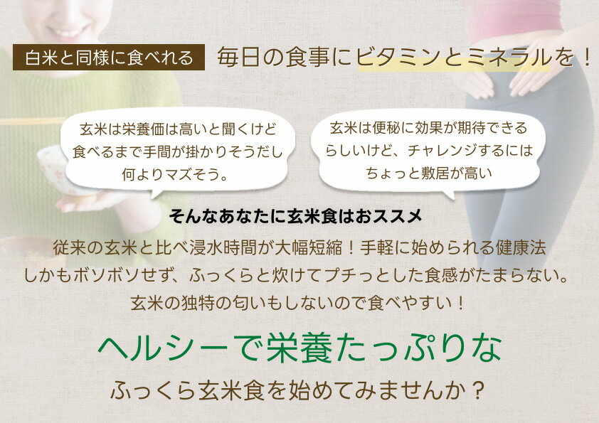 【ふるさと納税】 【3ヶ月定期便】【炊飯器で普通に炊ける玄米】 ふっくら玄米食 6kg（2kg×3）×3回 新潟県阿賀野市産 米杜氏 壱成 特別栽培コシヒカリ