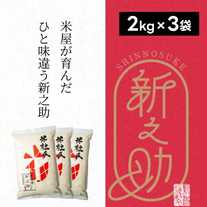 【ふるさと納税】【令和7年産新米】特別栽培米 新之助 6kg (2kg×3袋) 米杜氏 壱成 白米 精米 大粒 つや 光沢 弾力 芳醇