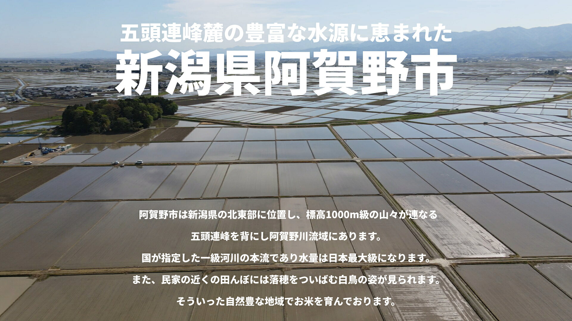 【ふるさと納税】【令和7年産】≪5回定期便≫ 米杜氏 阿賀野市産 特別栽培米 コシヒ...