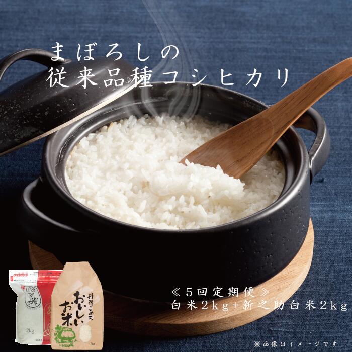 ≪5か月定期便≫ 旧笹神村産 コシヒカリ 新之助 計4kg (各2kg) ×5回 食べ比べ 味比べ 精米 白米 精米したて 農家直送 山の空気 清らかな 雪解け水 甘み 香り やさしい味わい お米品質診断 コメドック 食味値 金賞 獲得