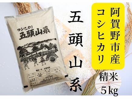 27位! 口コミ数「0件」評価「0」「米屋のこだわり阿賀野市産」コシヒカリ5kg