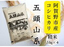 「米屋のこだわり阿賀野市産」コシヒカリ どーんと20kg！