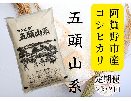 「米屋のこだわり阿賀野市産」≪2回定期便≫コシヒカリ2kg×2回