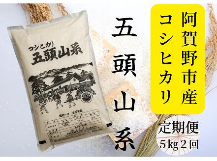 14位! 口コミ数「0件」評価「0」≪2回定期便≫「米屋のこだわり阿賀野市産」コシヒカリ5kg×2回