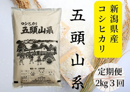 【ふるさと納税】「米屋のこだわり阿賀野市産」≪3回定期便≫コシヒカリ2kg×3回