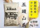 【ふるさと納税】「米屋のこだわり阿賀野市産」≪3回定