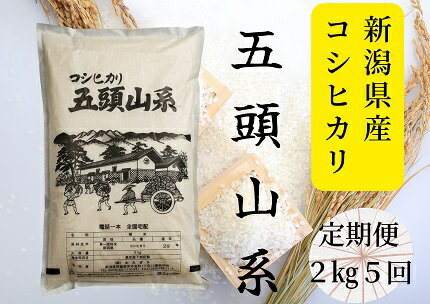 「米屋のこだわり阿賀野市産」≪5回定期便≫コシヒカリ2kg×5回