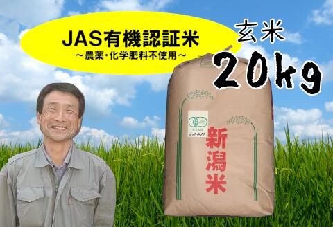 31位! 口コミ数「0件」評価「0」「令和5年産 完売御礼」【新米】 JAS 有機認証米 コシヒカリ 玄米 20kg 10月中旬以降のお届け