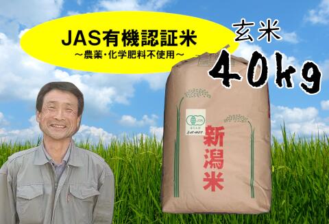 「令和5年産 完売御礼」【ふるさと納税】【新米】 JAS 有