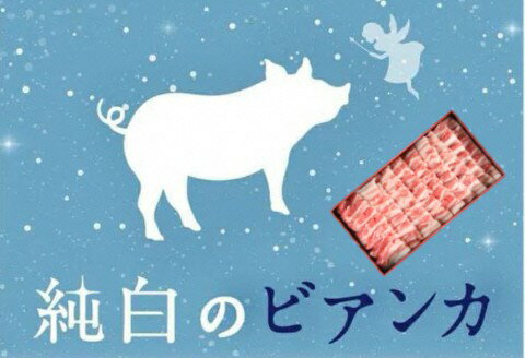 【ふるさと納税】純白のビアンカ 豚バラ 焼き肉用 800g 豚肉 透き通るような 白い脂身 歯切れの良い 肉質 香り高い 上品な甘み