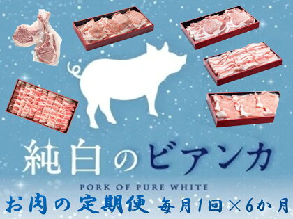 【6か月定期便】純白のビアンカコース 計4kg超 毎月違うお肉をお届け 豚バラ 豚ロース 骨付き ポークステーキ しゃぶしゃぶ 焼肉