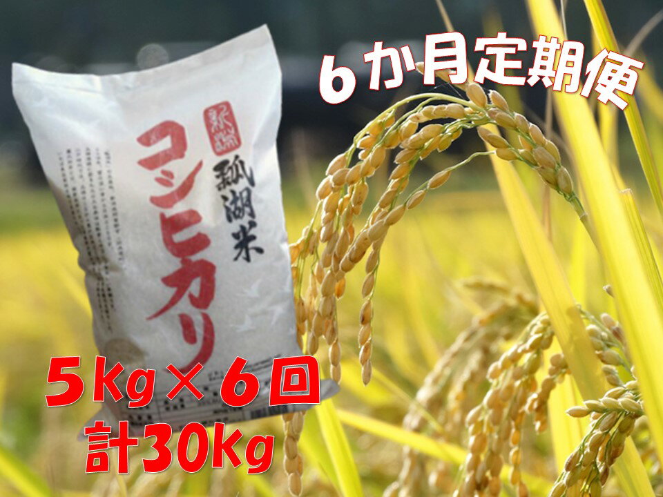 【6ヶ月定期便】新潟産 コシヒカリ「瓢湖米」 5kg×6回