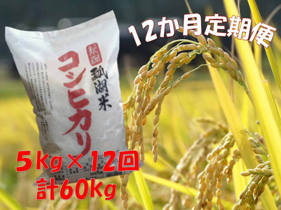 【12ヶ月定期便】新潟産 コシヒカリ「瓢湖米」 5kg×12回