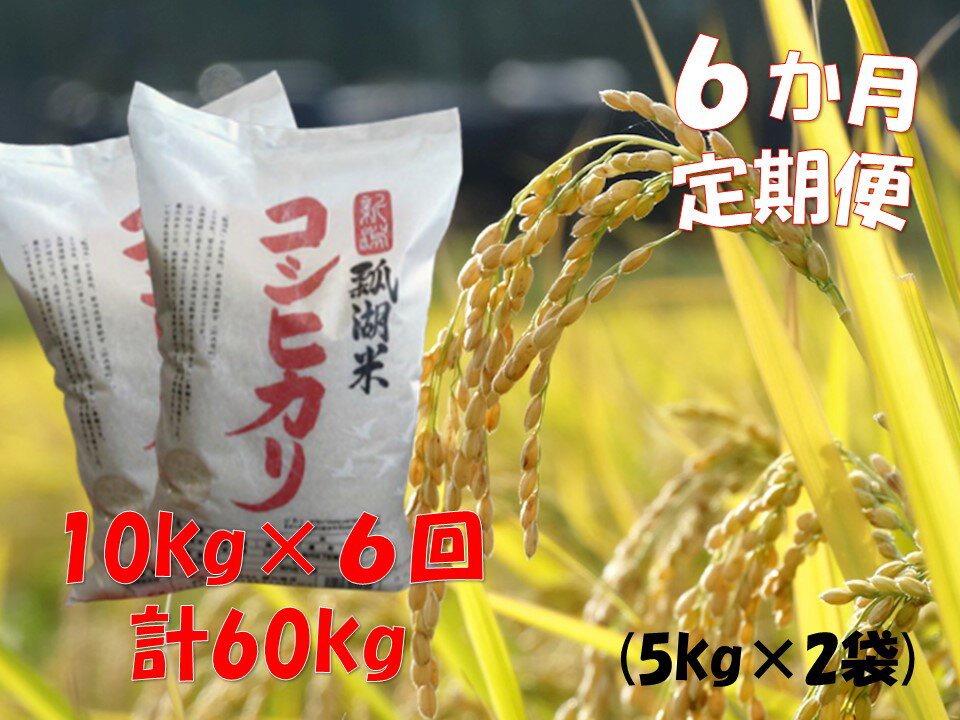 【6ヶ月定期便】新潟産 コシヒカリ「瓢湖米」 10kg×6回
