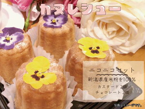 【ふるさと納税】 カヌレシュー4個セット(カスタード2個・チョコレート2個)遊園地 新潟県産米粉100%使用 カヌレ シュークリーム グルテンフリー 冷凍 スイーツ デザート 新潟県 阿賀野市