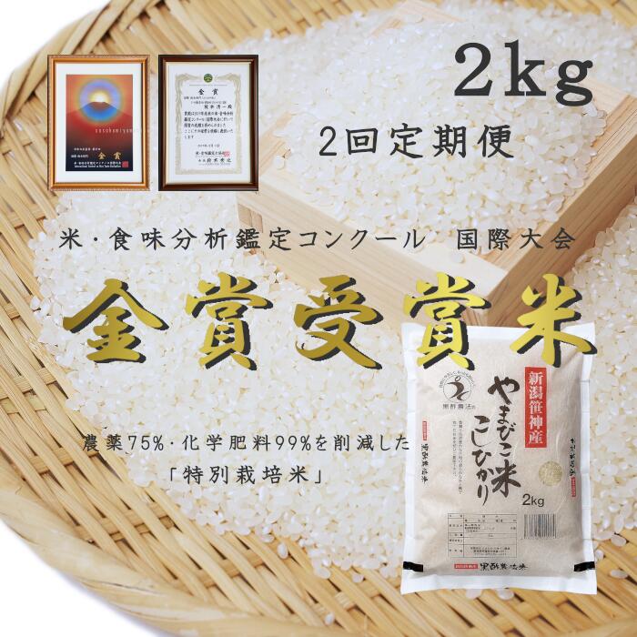 【ふるさと納税】＼2回定期便／農家直送！玄米黒酢農法コシヒカリ 「やまびこ米」2kg