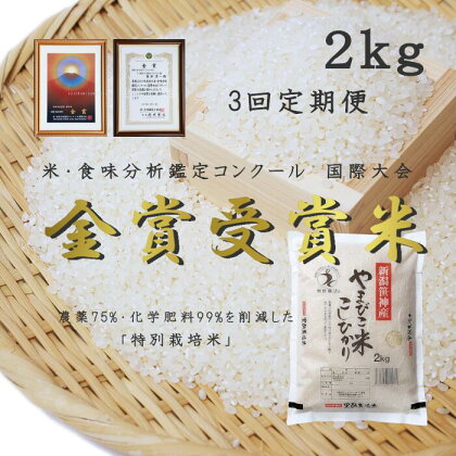 ≪3か月定期便≫ 農家直送！ 玄米黒酢農法 コシヒカリ 「やまびこ米」 2kg×3回 米 精米 白米 こしひかり 金賞受賞米 食味分析鑑定コンクール 国際大会 国際総合部門