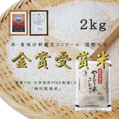 農家直送！玄米黒酢農法コシヒカリ 「やまびこ米」2kg