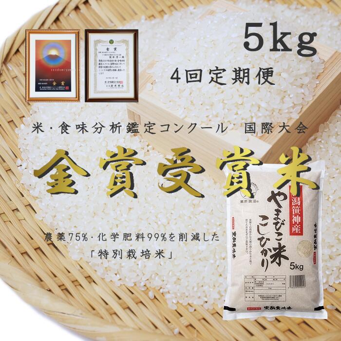 【ふるさと納税】＼4回定期便／農家直送！玄米黒酢農法コシヒカリ 「やまびこ米」5kg