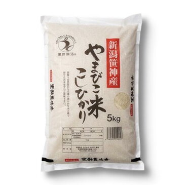 【ふるさと納税】【新米予約】≪12回定期便≫農家直送!玄米黒酢農法コシヒカリ 「やまびこ米」5kg