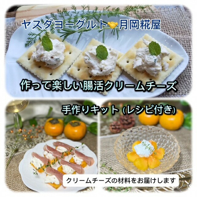 [冬春限定]作って楽しい腸活クリームチーズ 手作りキット(レシピ付き) 手作り チーズ 腸活お歳暮 贈り物 ギフト 父の日 母の日 誕生日 クリスマス プレゼント