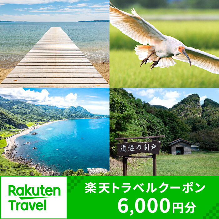 【ふるさと納税】新潟県佐渡市の対象施設で使える楽天トラベルクーポン 寄付額20,000円