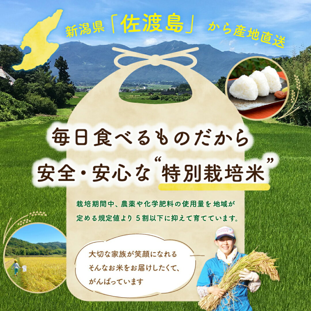 【ふるさと納税】佐渡島産コシヒカリ 無洗米 選べる容量 5kg 10kg 15kg 20kg 25kg 特別栽培米 農家直送