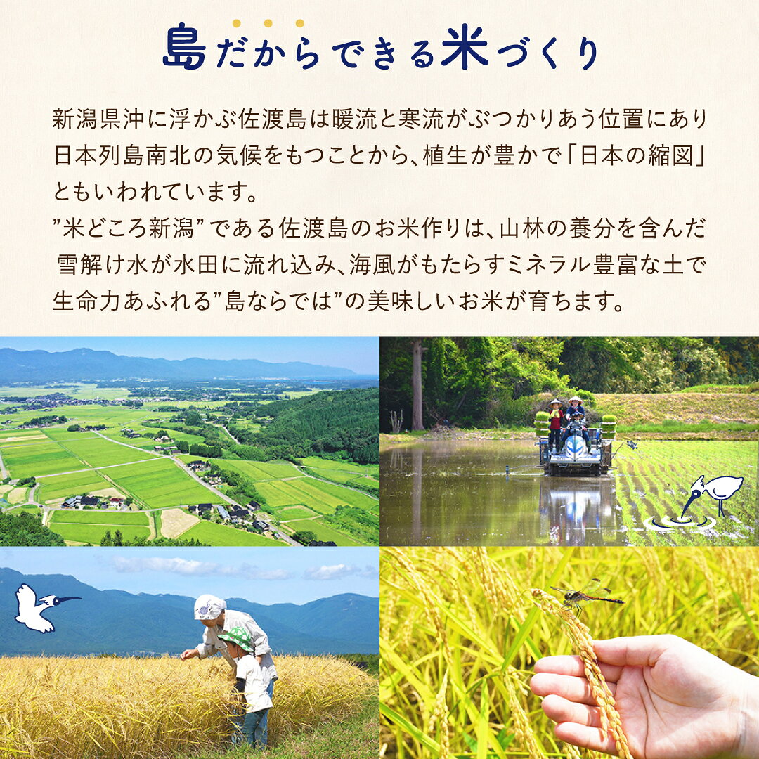 【ふるさと納税】【9か月定期便】玄米 コシヒカリ 2kg 5kg 10kg 選べる 令和8年産 ...