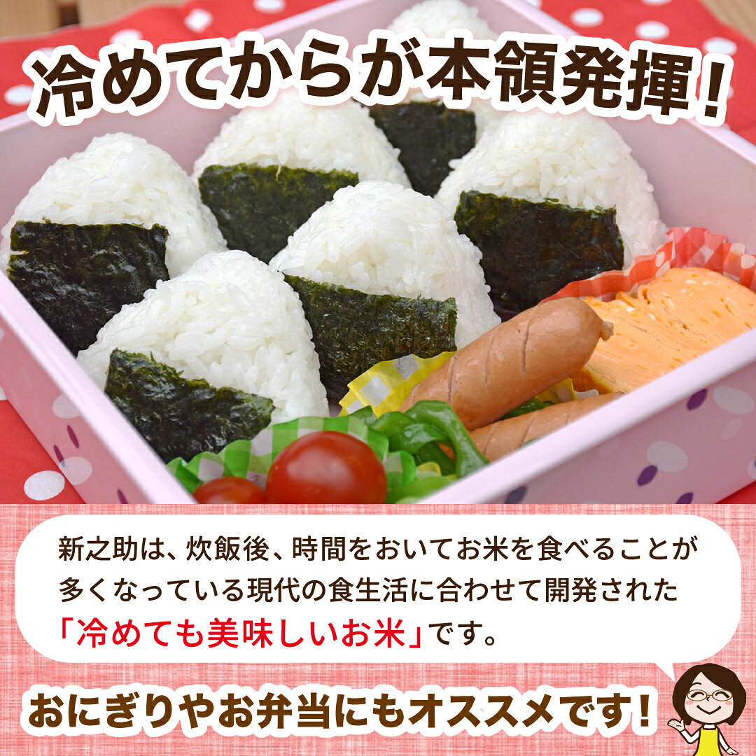 【ふるさと納税】佐渡島産新之助 白米 選べる容量 2kg 5kg 10kg 15kg 20kg 25kg 土...