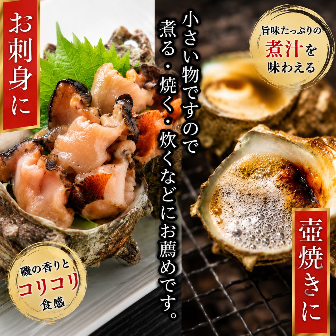 【ふるさと納税】佐渡産　天然活サザエ 2kg（20個前後）/ 小（35個前後）