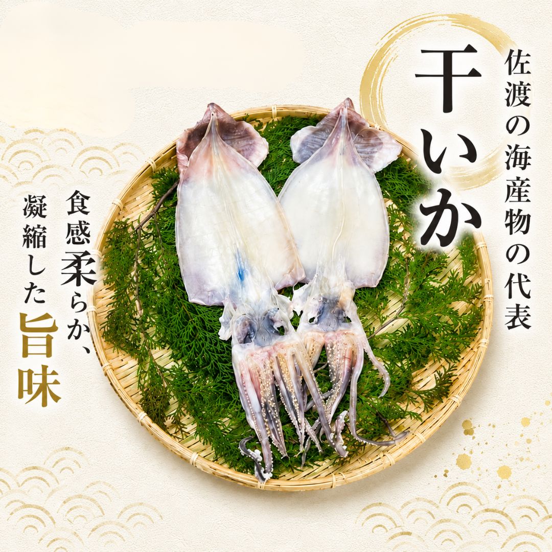 【ふるさと納税】干物 イカ 佐渡産 4枚 ( 1袋2枚 × 2 ) 一夜干しいか