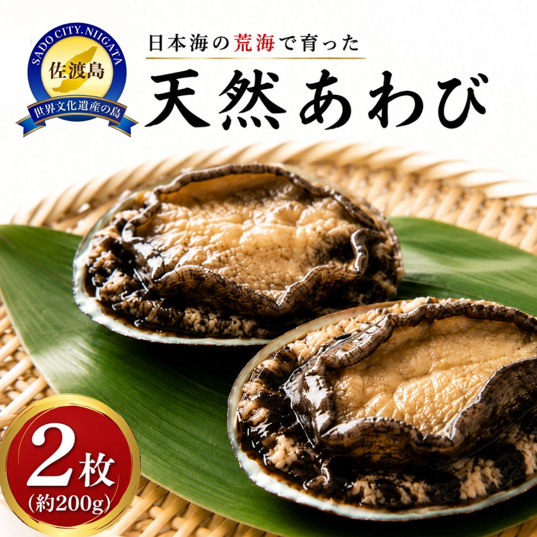 【ふるさと納税】日本海　佐渡産　荒海育ち天然活あわび2枚（200g見当）
