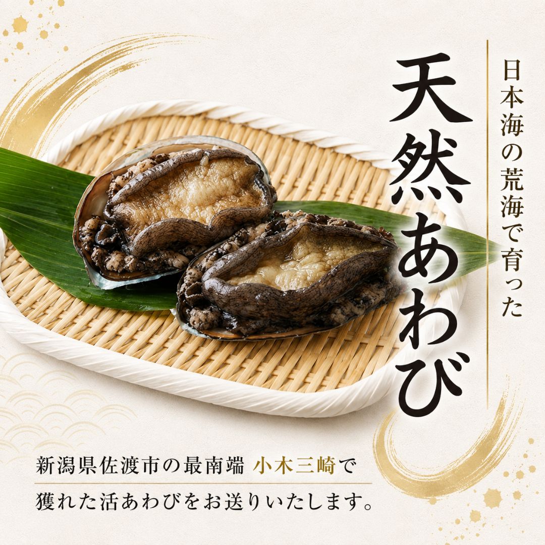 【ふるさと納税】日本海　佐渡産　荒海育ち天然活あわび2枚（200g見当）