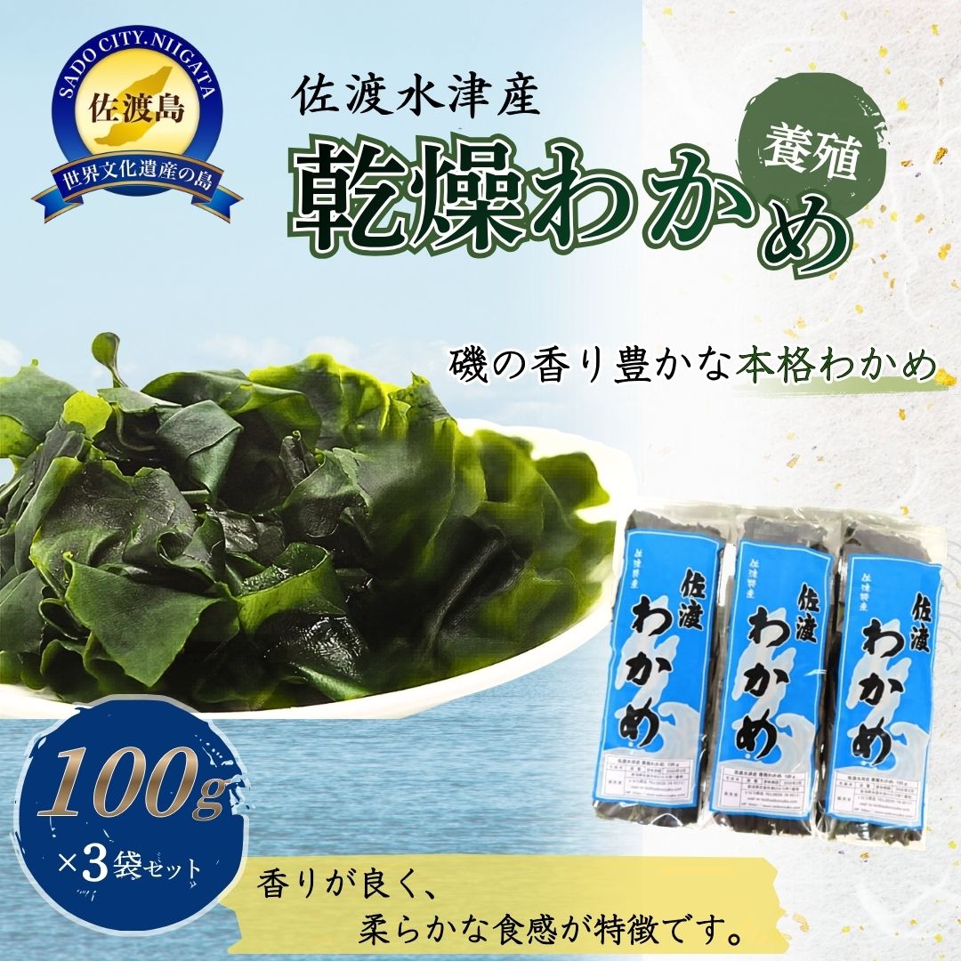 乾燥わかめ 100g×3袋 計300g 佐渡水津産 養殖 ワカメ 海藻 乾物 水戻し5分 小分け 常温保存 味噌汁 酢の物 うどん サラダ 新潟県 佐渡市