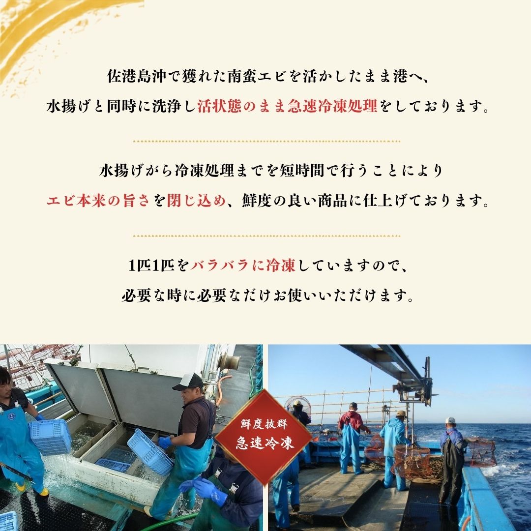 【ふるさと納税】佐渡産 冷凍南蛮エビ（甘エビ）800g